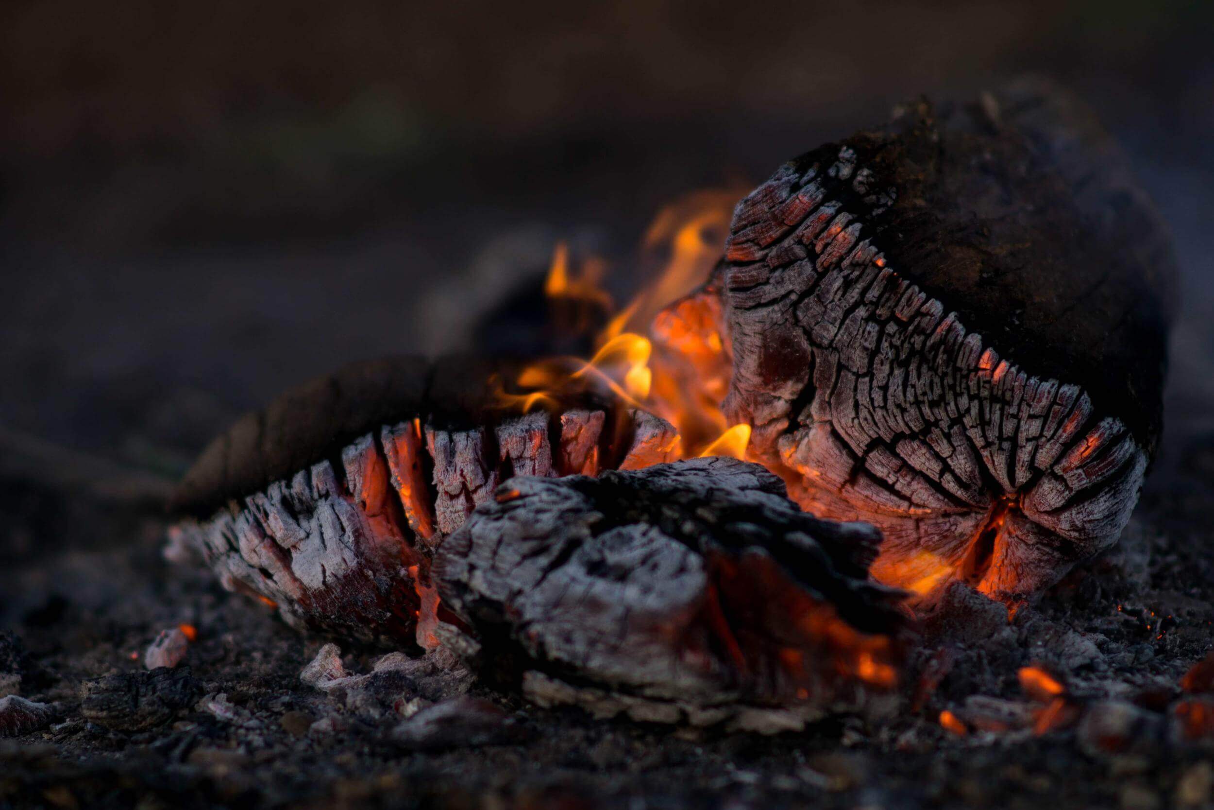 Holzfeuerungen richtig betreiben - Waldenergie AG in Winznau - Holzpellets und Brennholz aus der Schweiz, Unterhalt von Naturstrassen 1